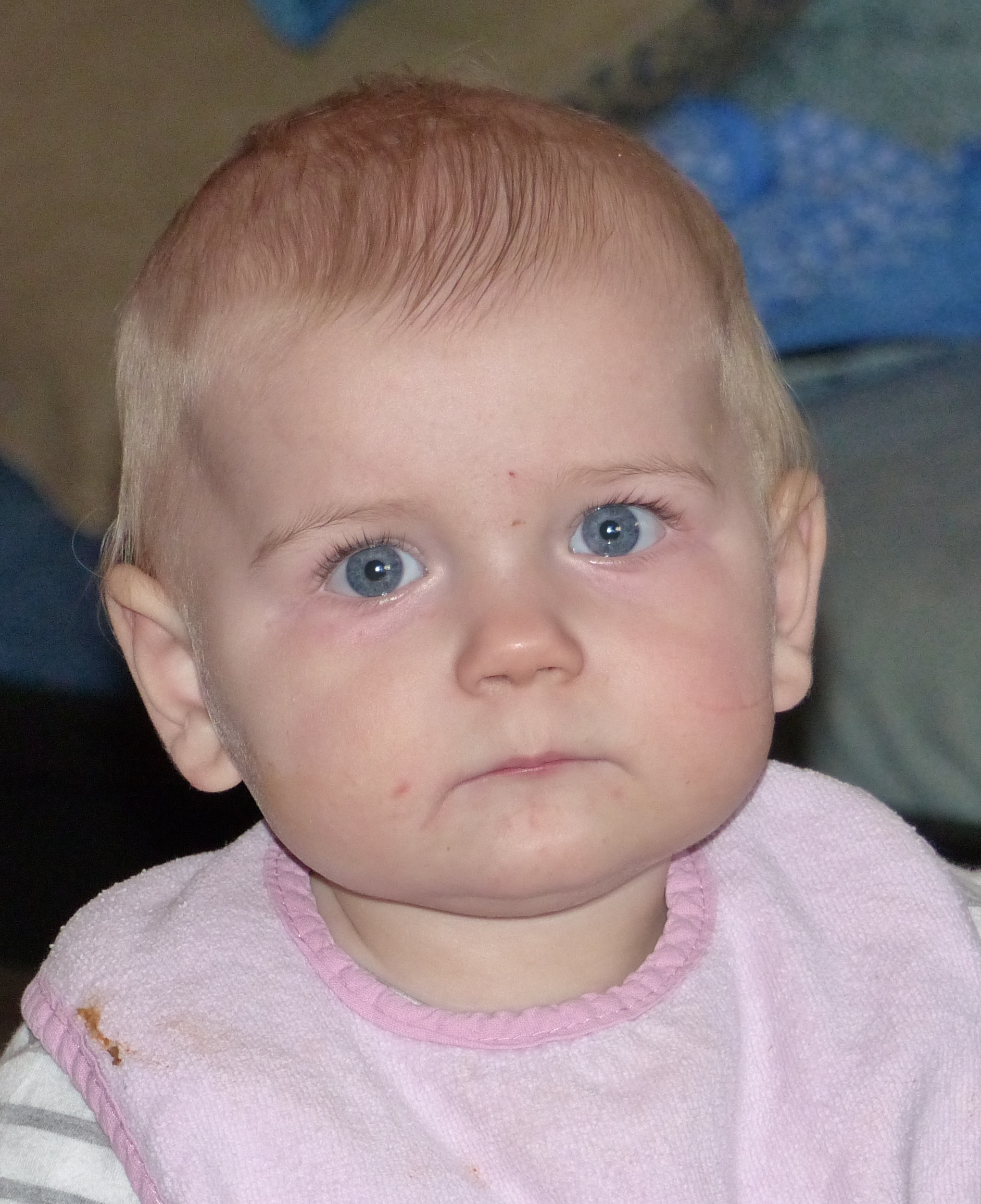 2015_-_sophie_hofkamp_-_2.jpg