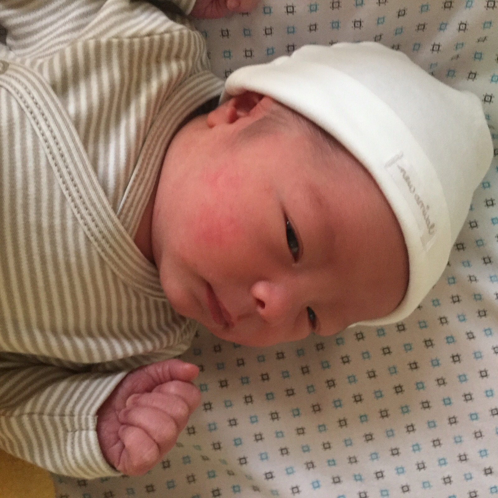 2016-01-03___xavier_johannes_hodenius___02.jpg